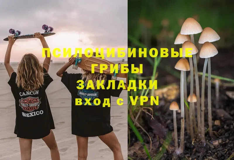 Галлюциногенные грибы Magic Shrooms  купить   Новосибирск 